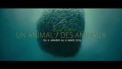 rencontre henri langlois