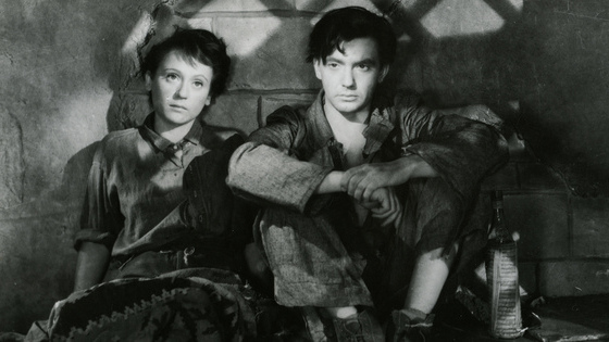 Fenêtre sur les collections