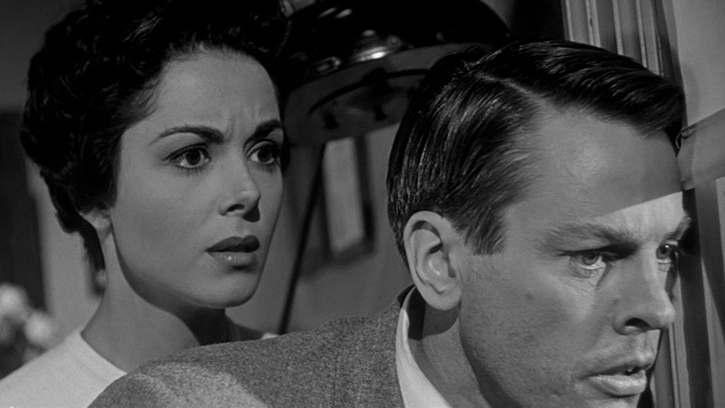 L Invasion Des Profanateurs De Sépultures 1978 L'Invasion des profanateurs de sépultures (Don Siegel, 1955) - La