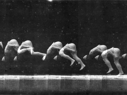 Montage E. J Marey - bandes chronophotographiques - Etienne-Jules Marey et Georges Demenÿ - 1890 - Collections La Cinémathèque française