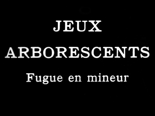 Jeux arborescents - Emile Malespine - 1931- Collections La Cinémathèque française