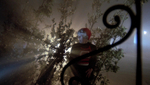 Baron vampire (Mario Bava)