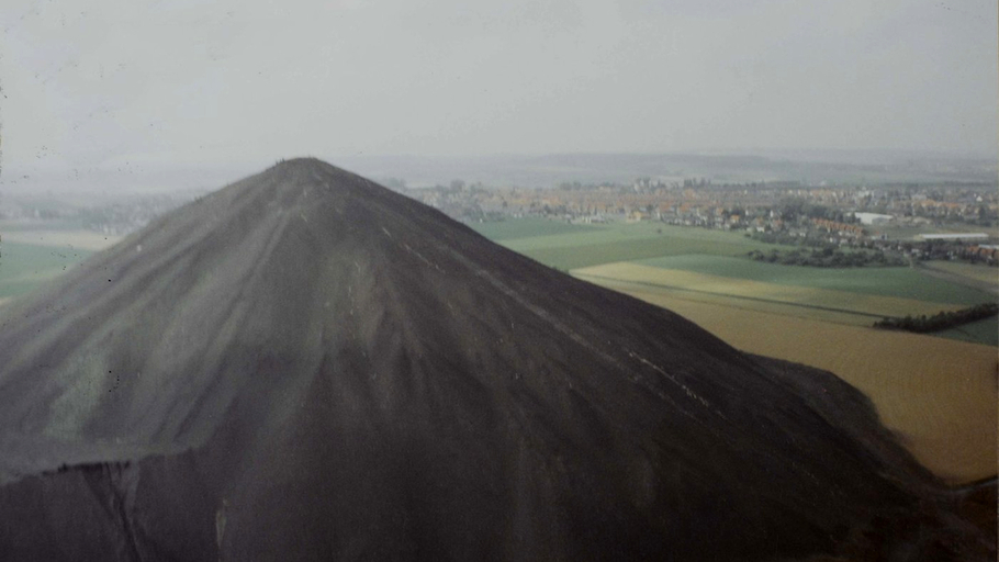 La Cabale des oursins