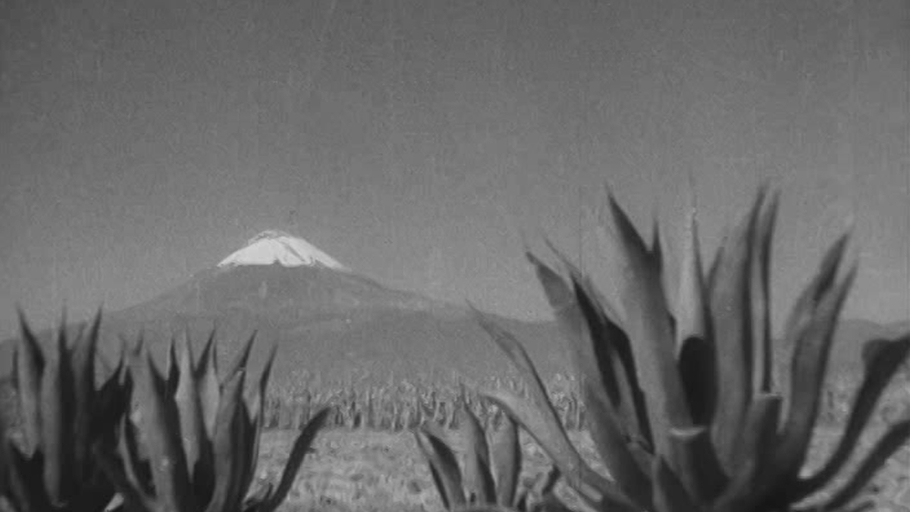 Cinéma et écologie — Réinventer la critique, interroger les pratiques (1ère partie) 