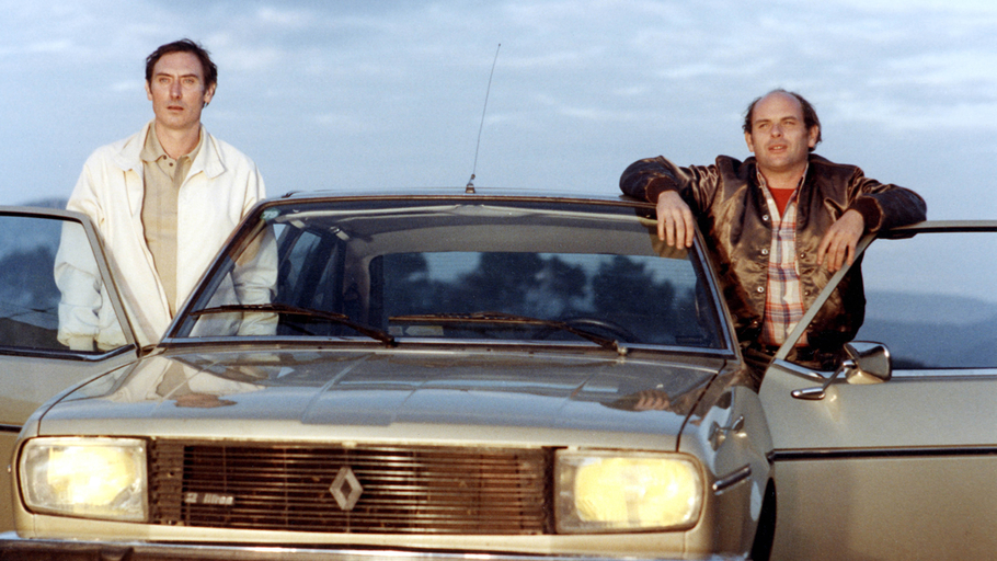 Deux lions au soleil