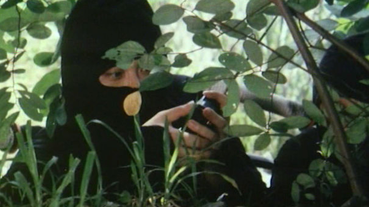 L'Empire des Ninjas
