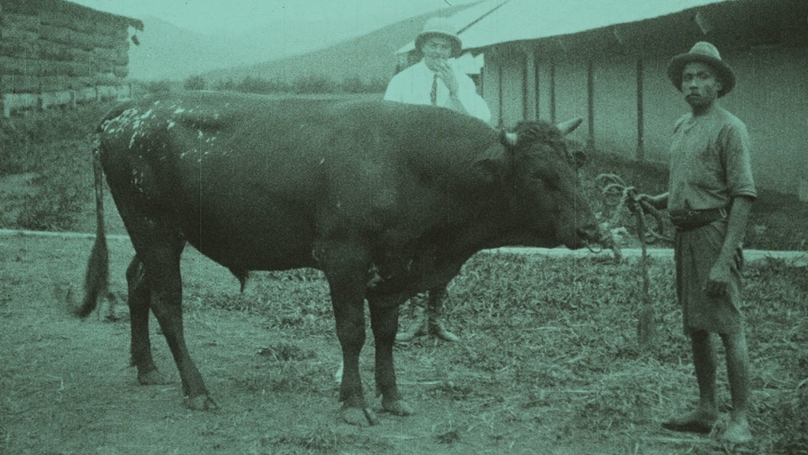 En Indochine française : Dalat, station climatique
