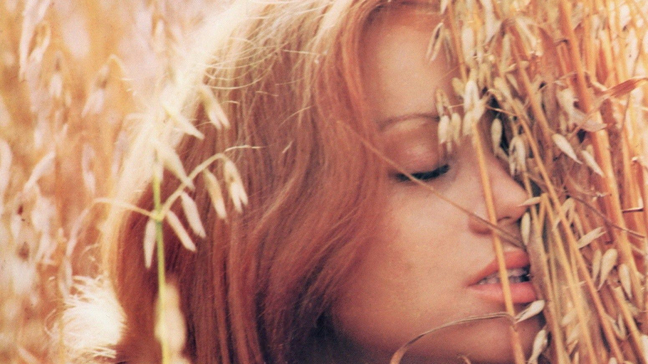 Faustine et le bel été