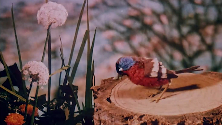Gazouilly petit oiseau