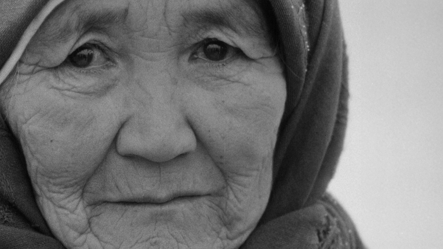 In memoriam László Mészáros