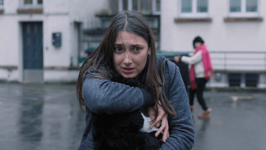 J'ai tué votre chat