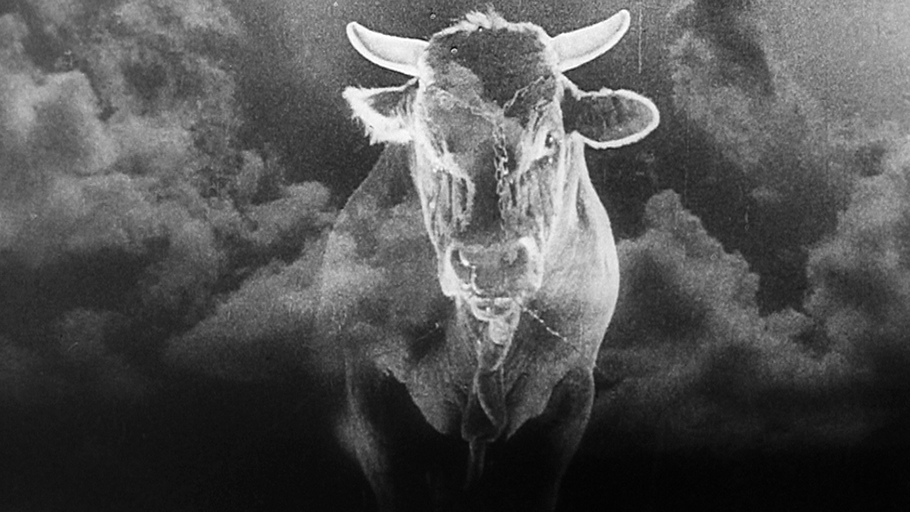Une caméra historique : la Parvo L d'Édouard Tissé, directeur de la photographie de Sergeï M. Eisenstein 