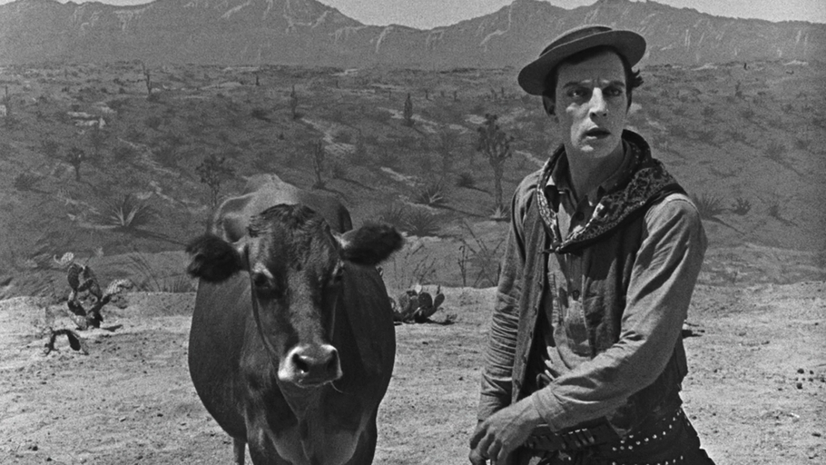 Ma vache et moi