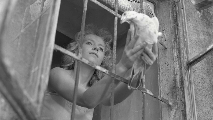 Ildikó Enyedi par Ildikó Enyedi, une leçon de cinéma 