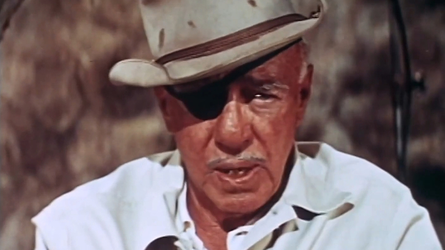 The True Adventures of Raoul Walsh