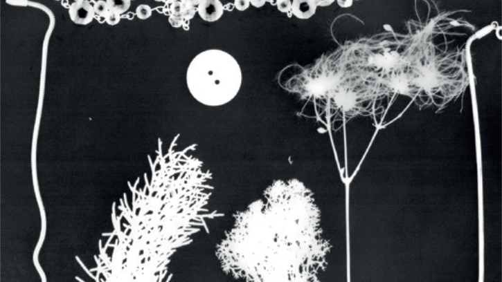 Atelier Traces de lumiere (3-6 ans)
