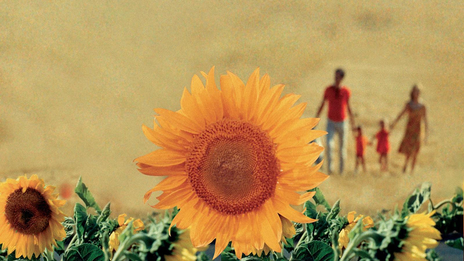 Carte postale sonore (10-12 ans)