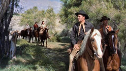Comanche Station 1960 1080p Fr En X264 Ac3 Mhdgz Mp4 00 37 10 02 Image Fixe001