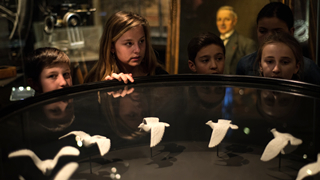 Visites guidées du Musée