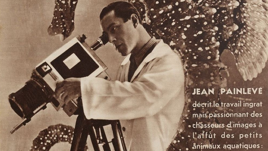 <em>L'Hippocampe</em> de Jean Painlevé : sur quelques mécanismes de « façonnement du soi »