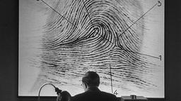 M Le Maudit (Fritz Lang, 1931)