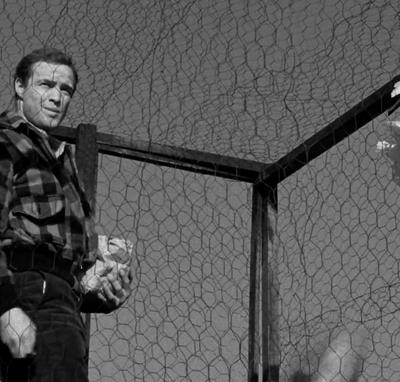 Le Ciné-Club de Frédéric Bonnaud. Épisode 36 - <em>Sur les quais</em> d'Elia Kazan