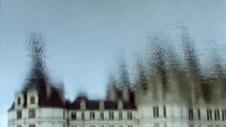 Les  Divisions de la nature : Quatre regards sur le château de Chambord