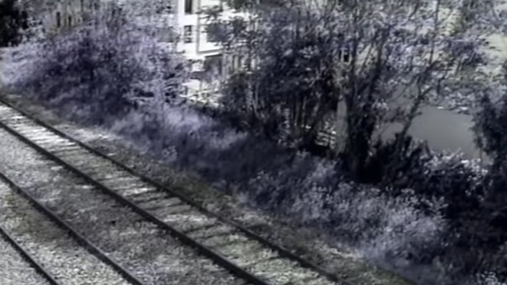 Petite ceinture