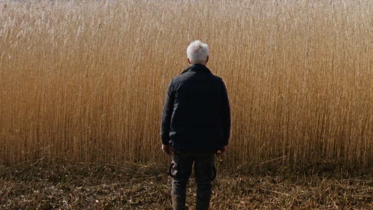 Reedland