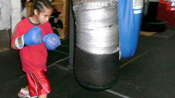 Wiseman Boxing
