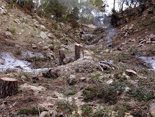 Où en êtes-vous, Barbet Schroeder ?
