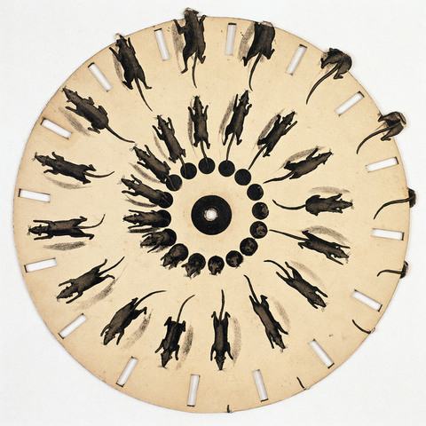 Phénakistiscope – Disque Optique Alph. Giroux 1833, Cheval à Bascule, Authentique Ancien