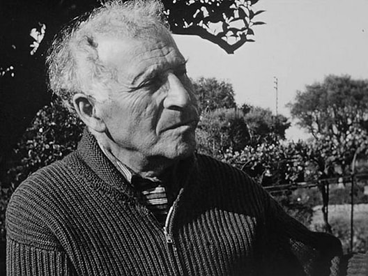 Affiche de Chagall dans son jardin à Saint-Paul-de-Vence