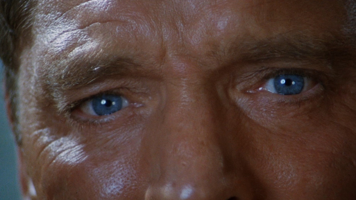 The Swimmer