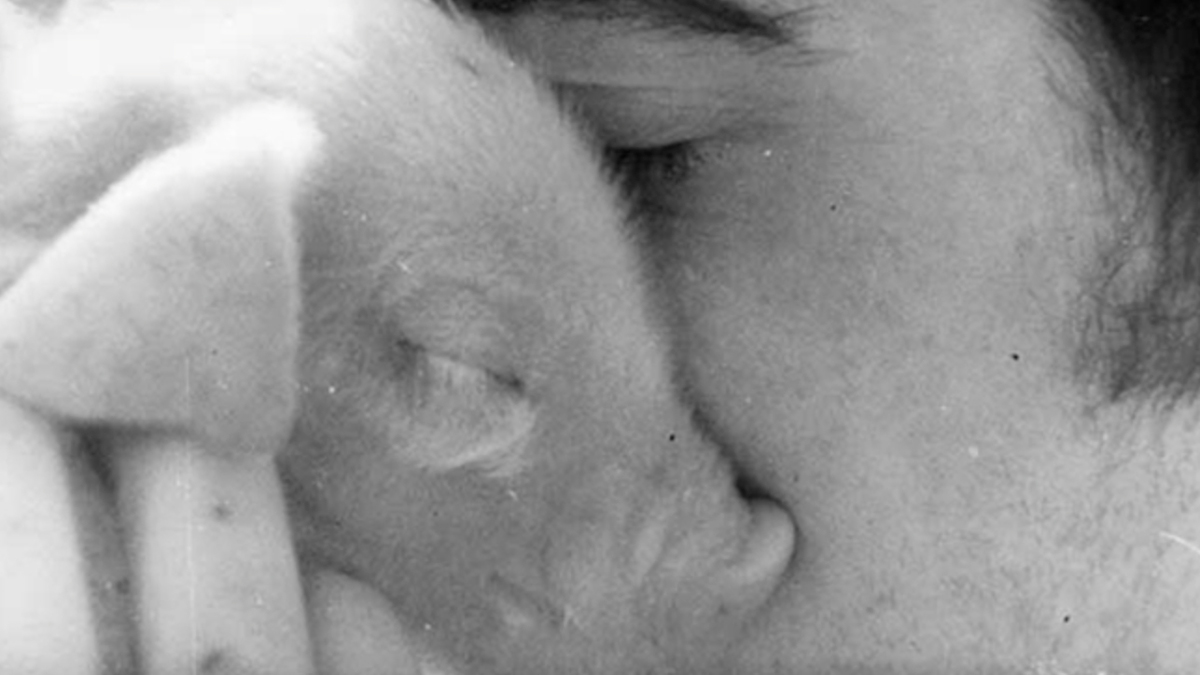 Vase de noces (Thierry Zeno, 1974)