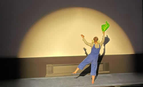 Ciné Spectacle Lila Lumière