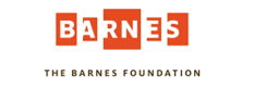 The Barnes Foundation