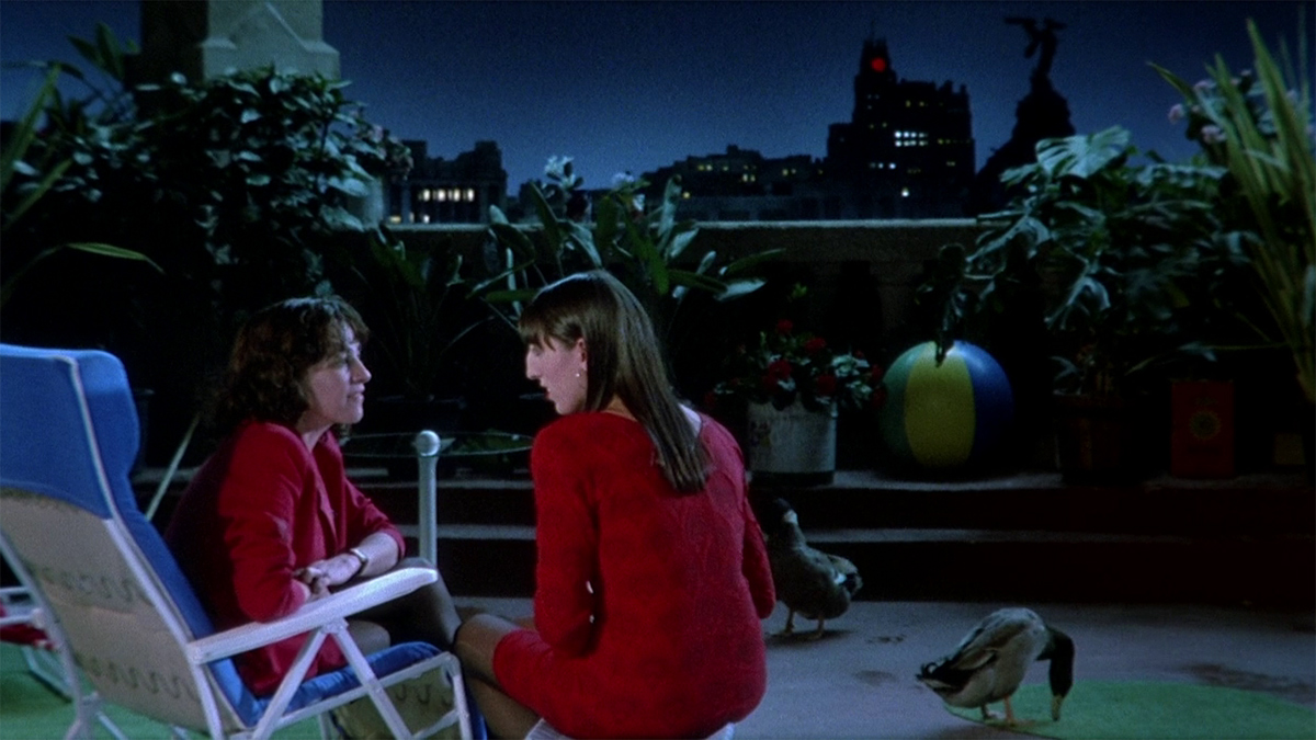 Au Bord De La Crise De Nerf Femmes au bord de la crise de nerfs (Pedro Almodóvar, 1987) - La