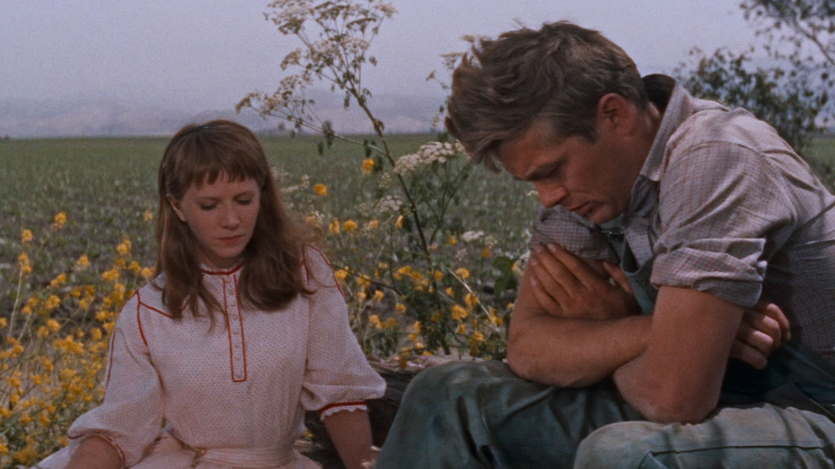 à L Est D éden Film À l'est d'Eden (Elia Kazan, 1954) - La Cinémathèque française