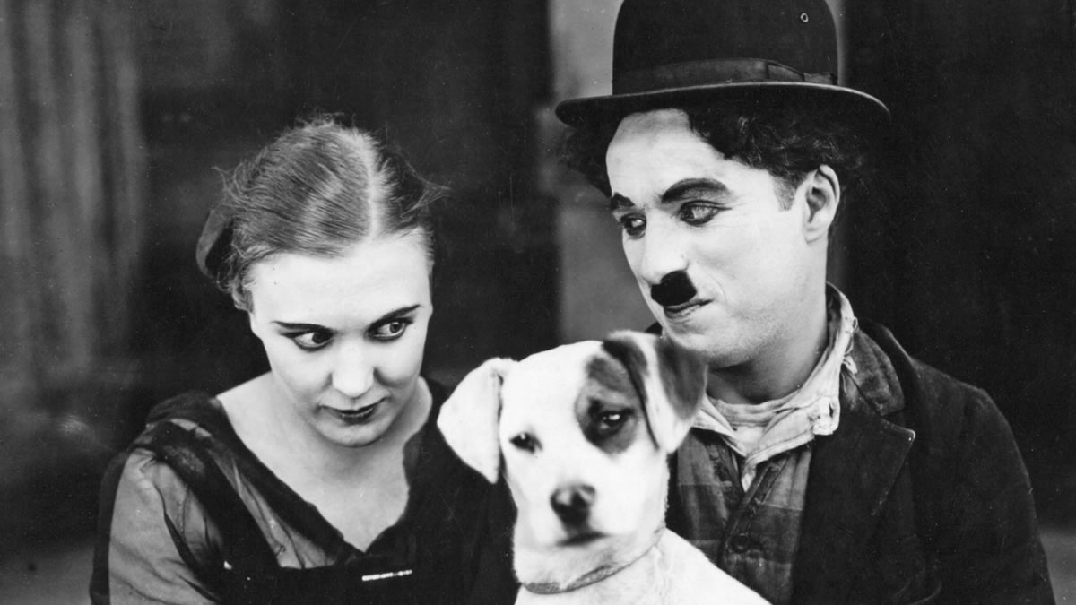 Une vie de chien (Charles Chaplin, 1918) - La CinÃ©mathÃ¨que franÃ§aise